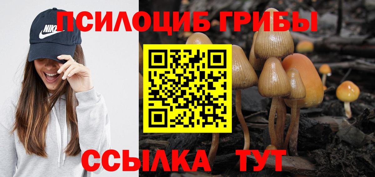 Саранск  купить   Вход с VPN  Псилоцибиновые грибы ЛСД 